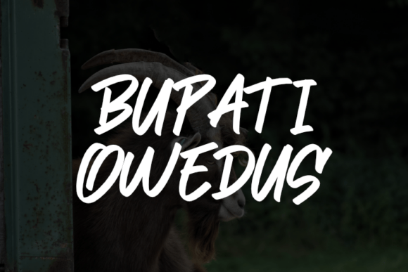 Bupati Owedus: A Font That Elevates Editorial Design