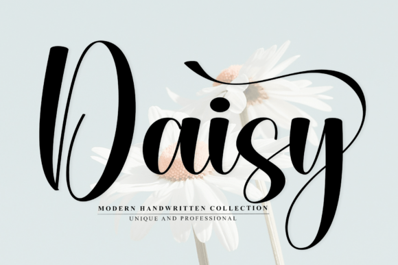 Daisy3: A Script Font with Grace and Elegance