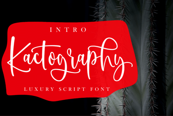 How Kactography Helped My Bakery Look More Professional