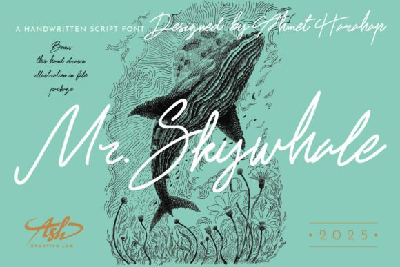 Mr Skywhale: A Font That Breathes Life Into Digital Design